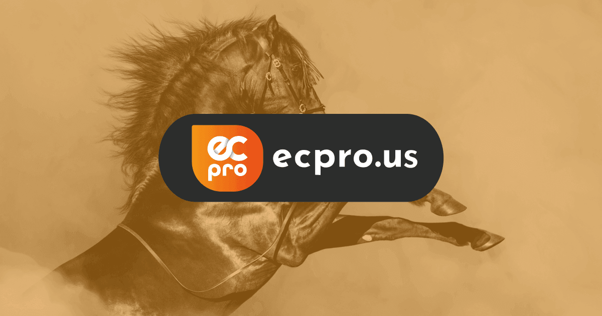 ecpro website preview