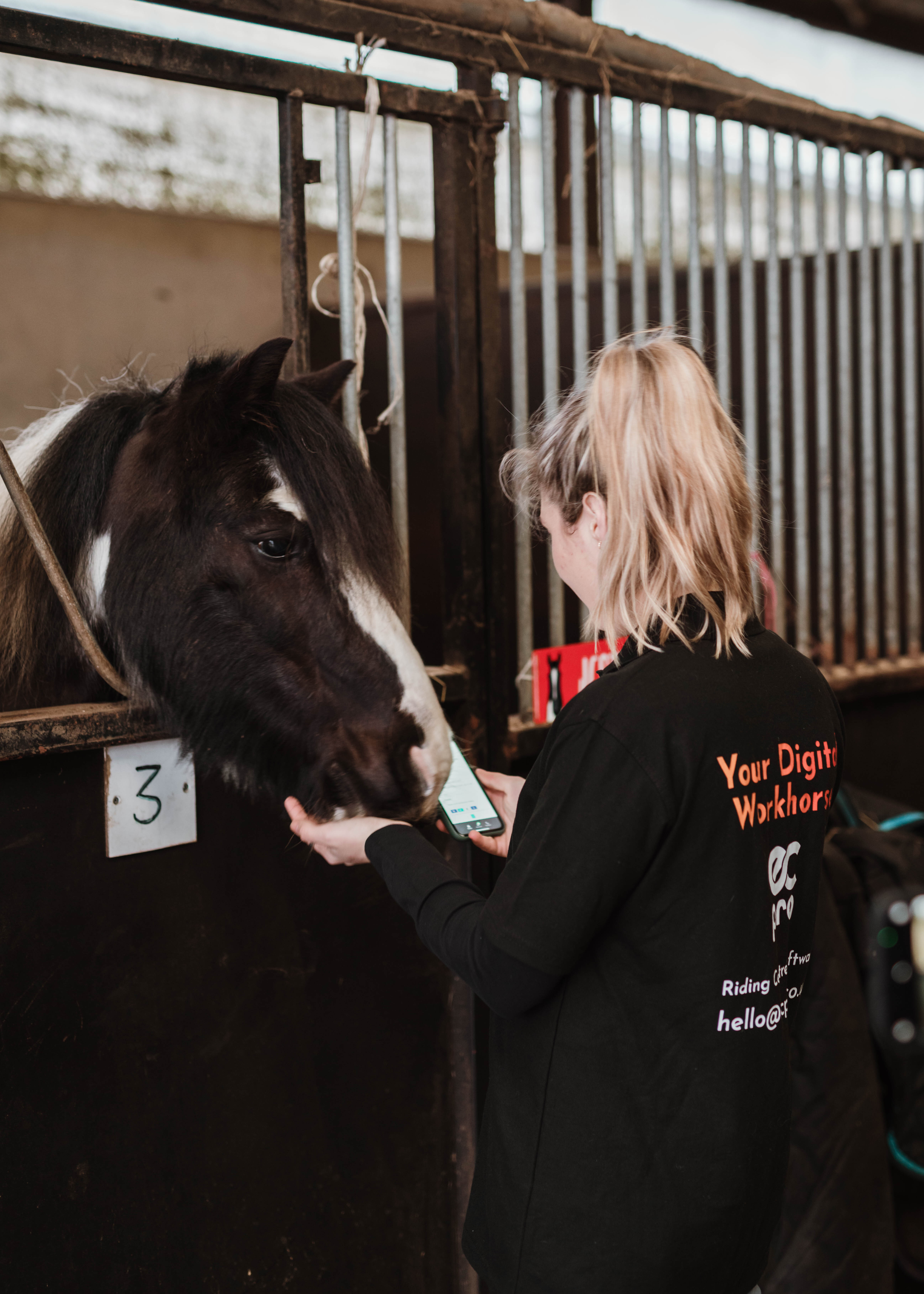 5 Common Mistakes Barn Owners Make—and How to Avoid Them