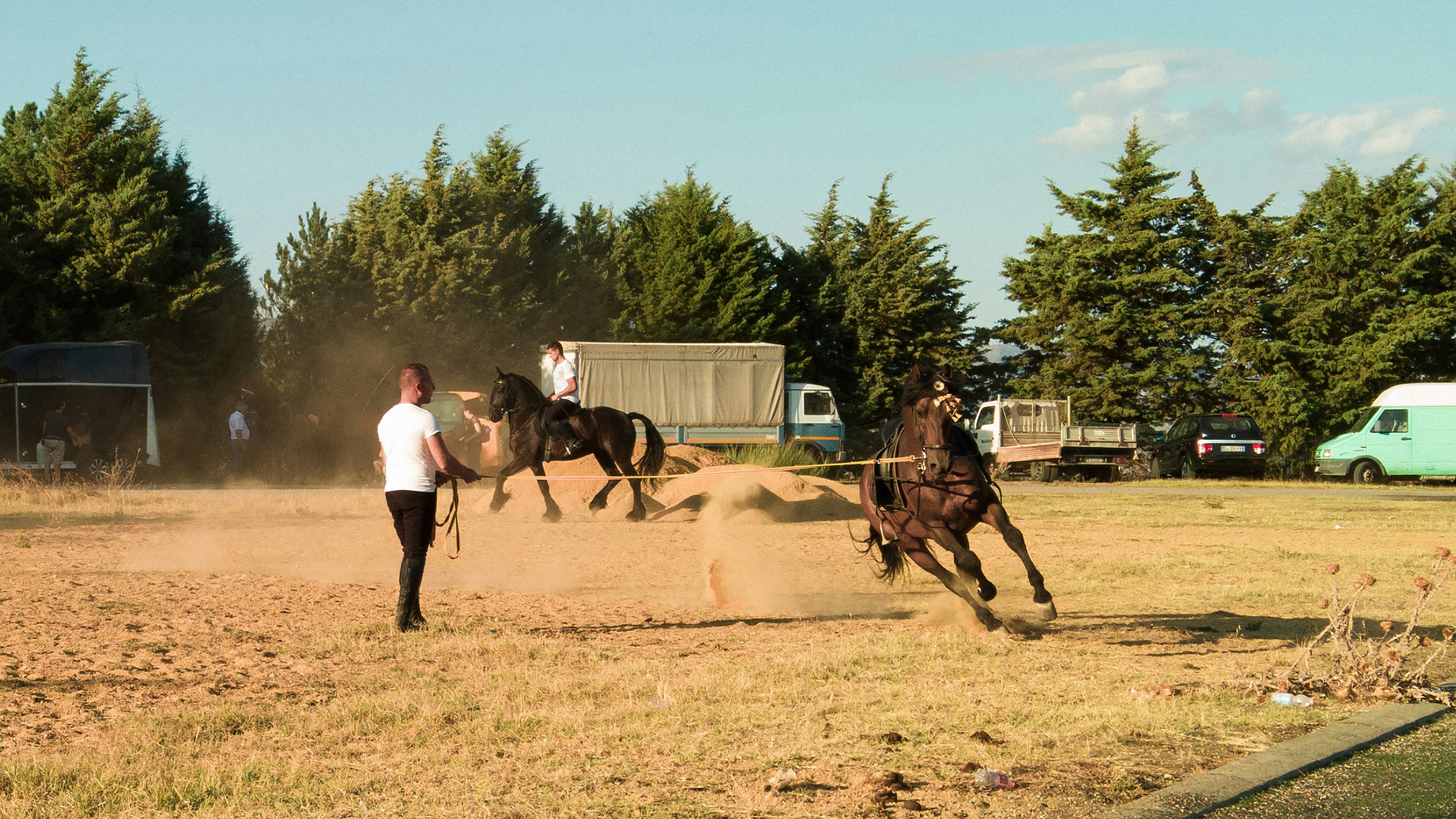 Building a Strong Team: Best Practices for Hiring and Managing Barn Staff