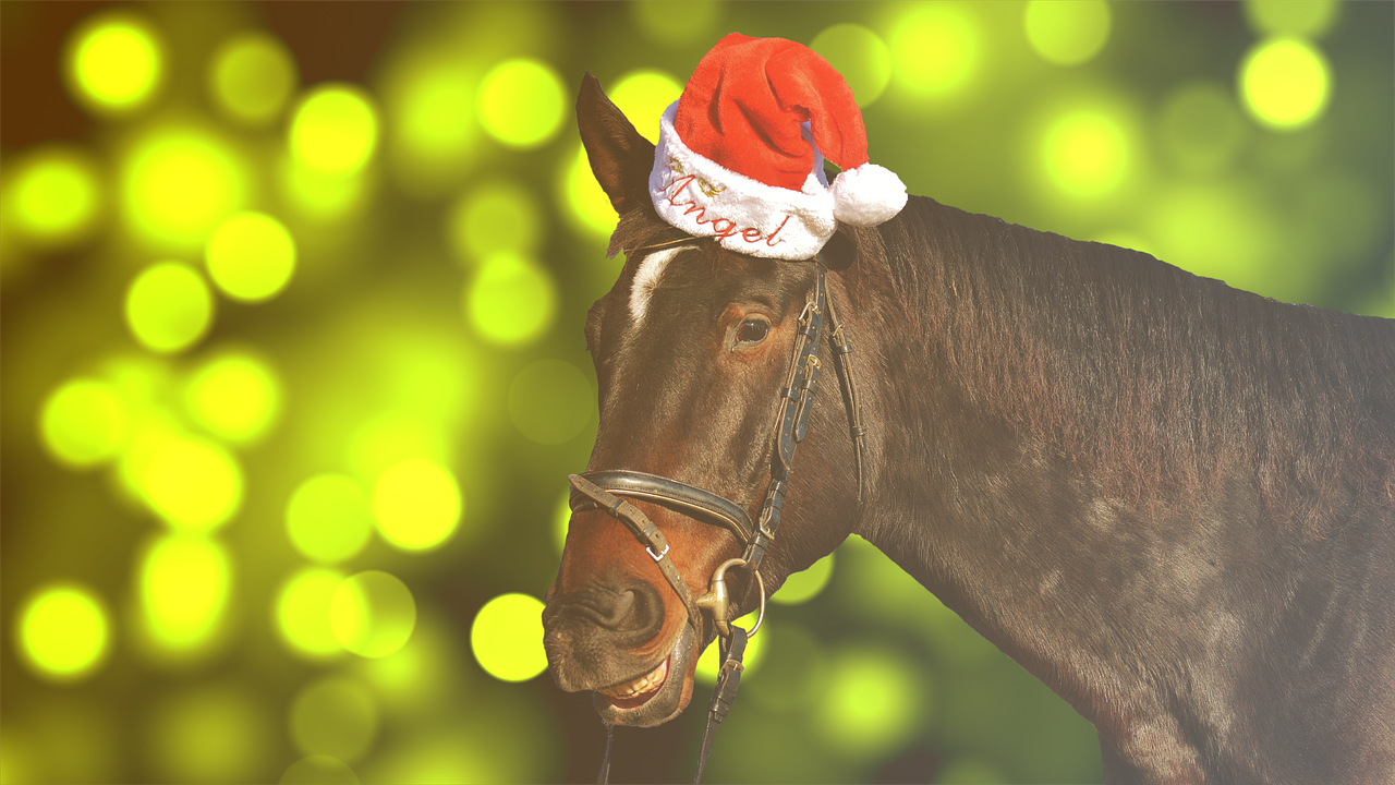 How to Attract More Clients During Fall and Winter Holidays