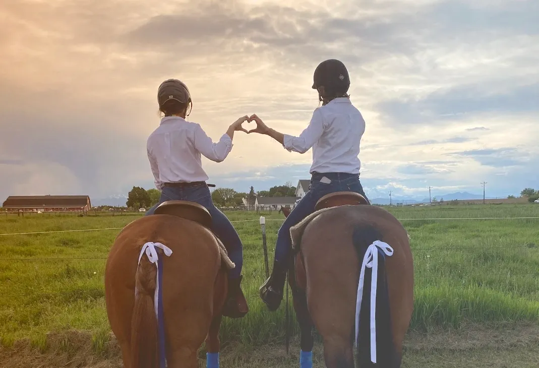 Passion for the Equestrian Industry