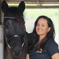 Under the Son Horsemanship